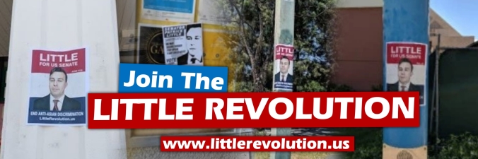 join the little revolution fliering